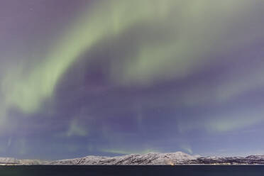 Nordlicht (Aurora Borealis) über den Bergen von Altafjord im Winter, Alta, Troms og Finnmark, Polarkreis, Nordnorwegen, Skandinavien, Europa - RHPLF15657