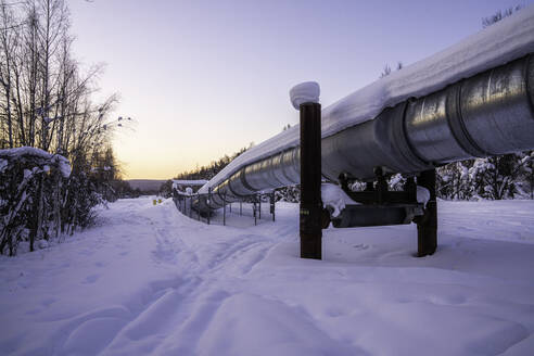 Trans-Alaska Pipeline System, Fairbanks, Alaska, Vereinigte Staaten von Amerika, Nordamerika - RHPLF15814