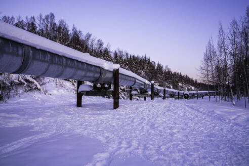 Trans-Alaska Pipeline System, Fairbanks, Alaska, Vereinigte Staaten von Amerika, Nordamerika - RHPLF15815