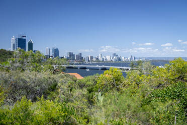 Blick auf die Stadt Perth vom Kings Park, Perth, Westaustralien, Australien, Pazifik - RHPLF15825