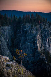 Ein einsamer Baum wächst aus den Felsen im Yosemite - CAVF86912