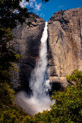 Yosemite Falls durch die Bäume - CAVF86916