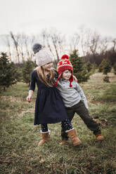 Junge und Mädchen auf dem Weihnachtsbaumhof - CAVF86953