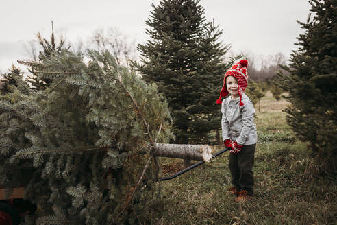 Junge, der einen Weihnachtsbaum auf einem Wagen auf einer Baumfarm zieht - CAVF86954