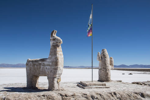 Salzstatuen in Salinas Grandes in Argentinien - CAVF87004