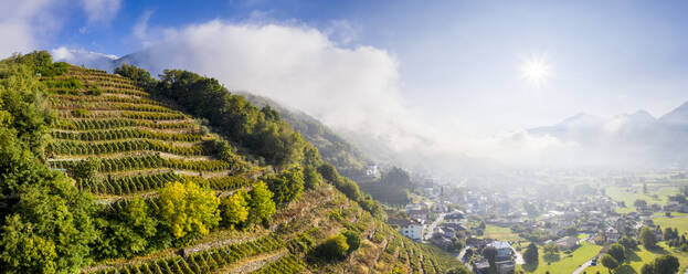 Aerial panoramic view of vineyards with village illuminated by sun in autumn, Berbenno, Valtellina, Lombardy, Italy, Europe - RHPLF15980