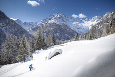 Junger Skifahrer kommt im Neuschnee voran, Chiareggio, Valmalenco, Valtellina, Lombardei, Italien, Europa - RHPLF15982