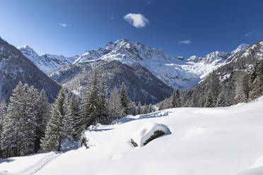 Winterlandschaft nach Schneefall mit Blick auf die Disgrazia-Gruppe, Chiareggio, Valmalenco, Valtellina, Lombardei, Italien, Europa - RHPLF15984