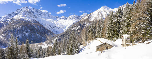 Winter landscape after snowfall with view of the group of Disgrazia, Chiareggio, Valmalenco, Valtellina, Lombardy, Italy, Europe - RHPLF15985