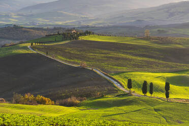 Hügellandschaft mit Bauernhaus, Toskana, Italien, Europa - RHPLF15998