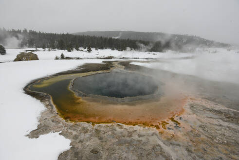 Heiße Quellen, Lower Geyser Basin, Yellowstone National Park, Wyoming, Vereinigte Staaten von Amerika, Nordamerika - RHPLF16011