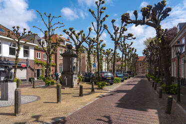 Niederlande, Südholland, Noordwijk, Mit Kopfsteinpflaster gesäumter Fußweg entlang einer historischen Straße - TAMF02509