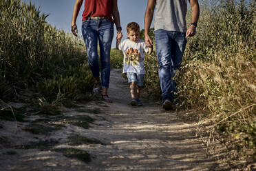 Parents holding son's hands while walking on trail amidst crops in farm - VEGF02529