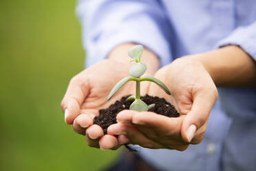 Close-up of female professional holding sapling - MJFKF00496