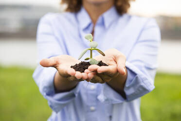 Close-up of female entrepreneur holding sapling - MJFKF00497