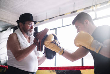 Seitenansicht eines Boxers, der die Handschuhe eines Trainers im Fitnessstudio schlägt. - ADSF01208