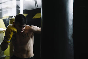 Shirtless boxer in gloves standing and punching bag while working out. - ADSF01227