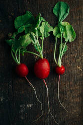 Fresh radish on wooden background - ADSF01243