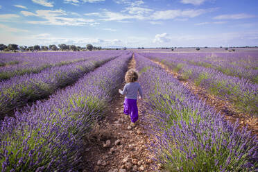 Entzückendes kleines Mädchen, das in einem lila Lavendelfeld spazieren geht - ADSF01271