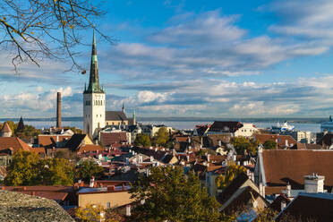 Blick auf die Altstadt mit dem Turm der St.-Olaf-Kirche und die Ostsee - CAVF87065