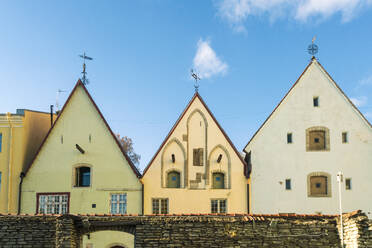 Die Kelch Linden Kopfsteinpflasterstraße des Estnischen Archäologiemuseums - CAVF87073