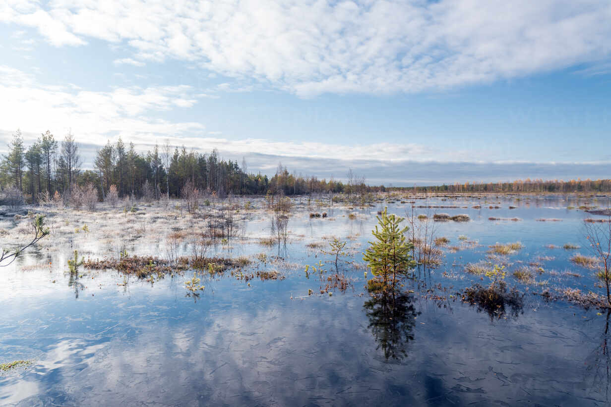 Der See Von Viru Raba Oder Das Moor Im Lahemaa Nationalpark Im Herbst