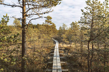 Walking track at Viru Raba or bog at Lahemaa national park in autumn - CAVF87092