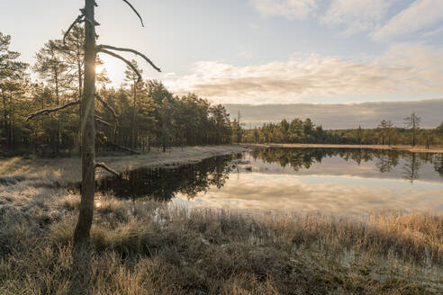 See von Viru Raba oder Moor im Lahemaa-Nationalpark im Herbst - CAVF87094