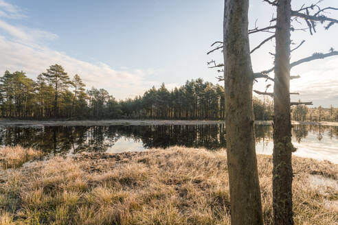 Der See von Viru Raba oder das Moor im Lahemaa-Nationalpark im Herbst - CAVF87095