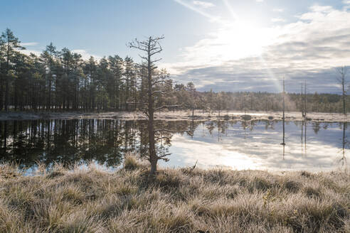 Der See von Viru Raba oder das Moor im Lahemaa-Nationalpark im Herbst - CAVF87096