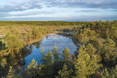 Der See von Viru Raba oder das Moor im Lahemaa-Nationalpark im Herbst - CAVF87100