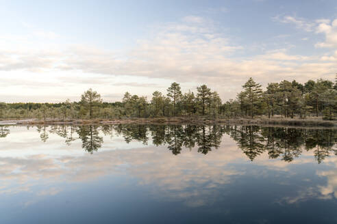 Der See von Viru Raba oder das Moor im Lahemaa-Nationalpark im Herbst morgens - CAVF87102