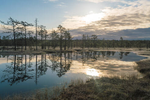 Der See von Viru Raba oder das Moor im Lahemaa-Nationalpark im Herbst - CAVF87103