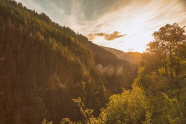 Beautiful mountain forest in Bern canton in summer by sunset - CAVF87138