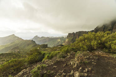 Al Teide national park in Tenerife in winter with green mountains - CAVF87142
