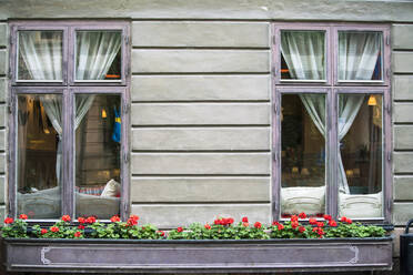 Fenster mit Blumen eines alten Hotels in der Altstadt Gamla Stan - CAVF87163