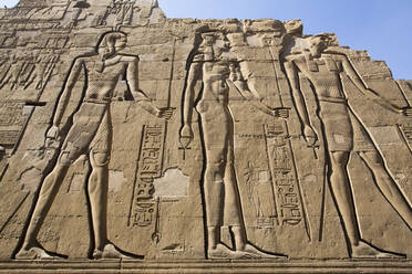 Wandreliefs, Tempel von Sobek und Haroeris, Kom Ombo, Ägypten, Nordafrika, Afrika - RHPLF16060
