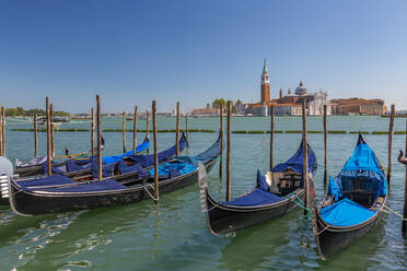 Blick auf Gondeln und San Giorgio Maggiore und Lido, Venedig, UNESCO-Weltkulturerbe, Venetien, Italien, Europa - RHPLF16126