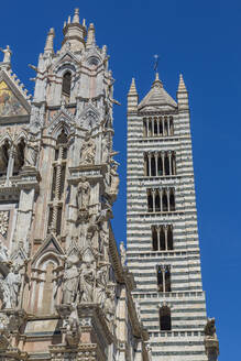 Blick auf den Dom von Siena (Duomo) und den Campanile, UNESCO-Weltkulturerbe, Siena, Toskana, Italien, Europa - RHPLF16133