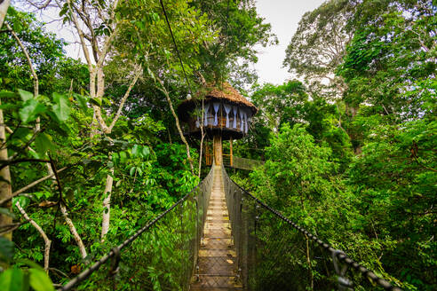 Eines der Baumhäuser in der Tree House Lodge im Amazonasdschungel, Peru, Südamerika - RHPLF16200