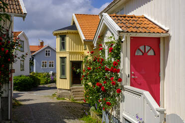Schweden, Vastra Gotaland, Fiskebackskil, Blumen blühen vor der Eingangstür eines Ferienhauses im Sommer - LBF03154