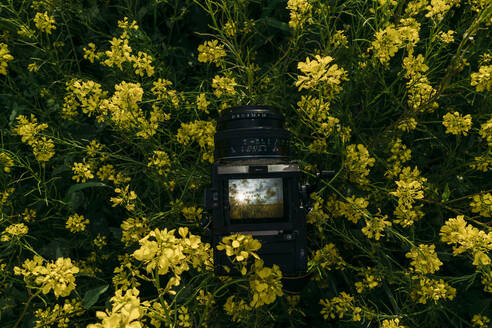 Retro-Gerät mit kleinem Display, das ein Foto der Natur mit gelben Blumen macht - ADSF01452