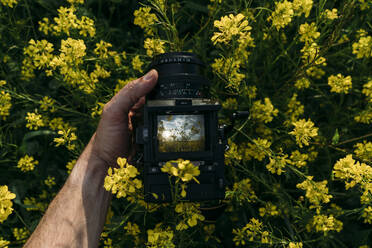 Mann Arme mit Tattoo Aufnahme von gelben Blumen in der Natur mit schöner Landschaft - ADSF01453