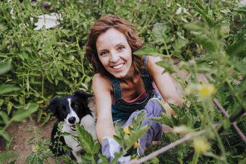 Smiling woman with border collie working in vegetable garden stock photo