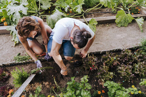 Couple planting while crouching in vegetable garden stock photo