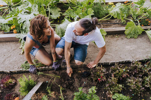 Smiling couple looking at each other while planting in vegetable garden - EBBF00420