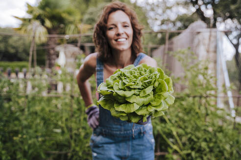 Smiling mid adult woman holding lettuce while standing in vegetable garden - EBBF00428