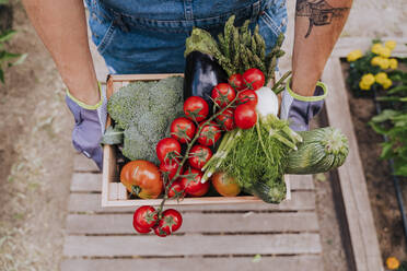 Close-up of woman holding various vegetables in wooden crate at community garden - EBBF00434