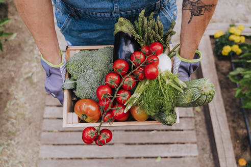 Close-up of woman holding various vegetables in wooden crate at community garden - EBBF00434