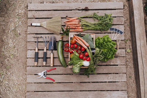 Various vegetables with gardening equipment on wood in community garden - EBBF00438